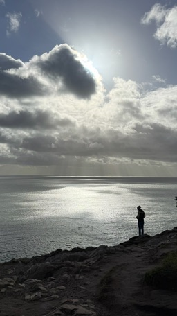 Sunset contemplation